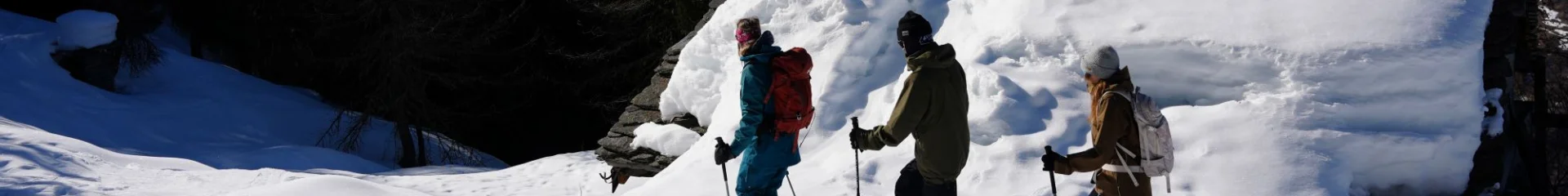 Snowshoeing