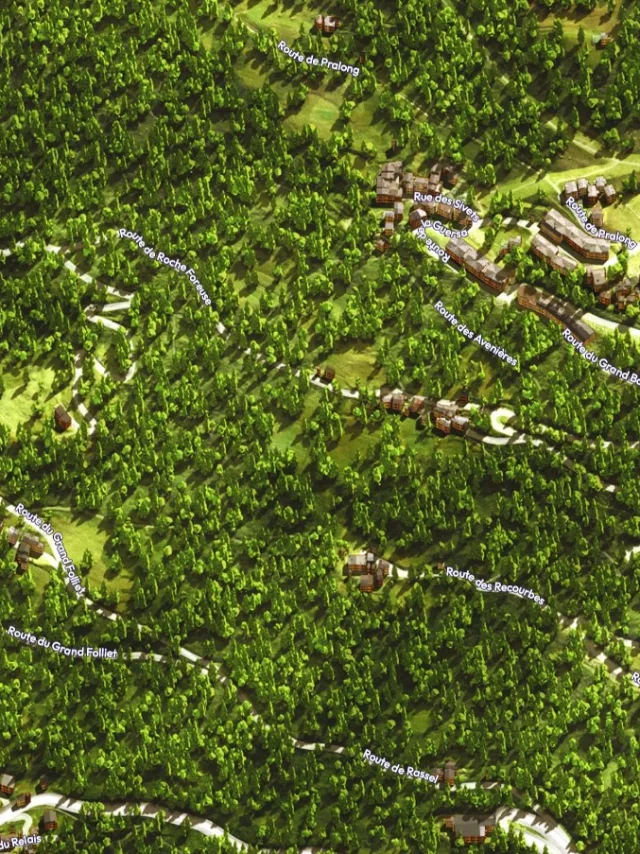 SainteFoyTarentaise_Grincat.jpg