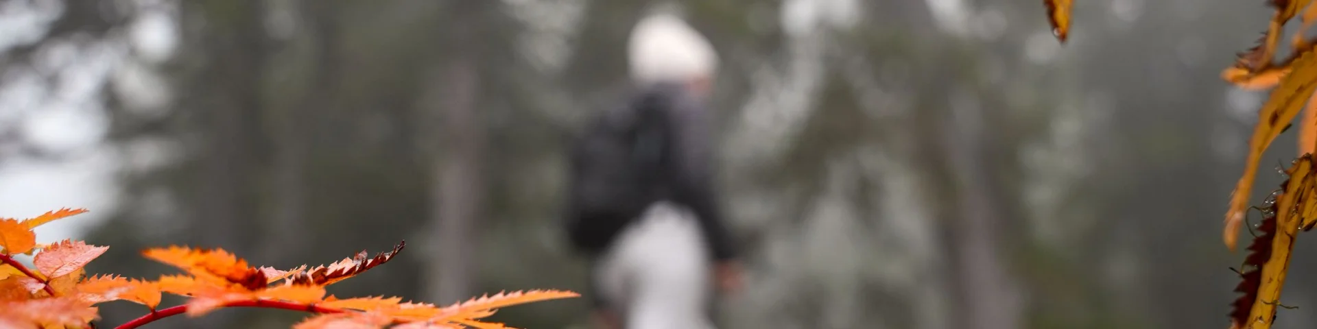 Journée d'automne