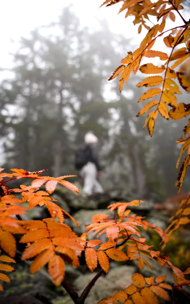 Journée d'automne
