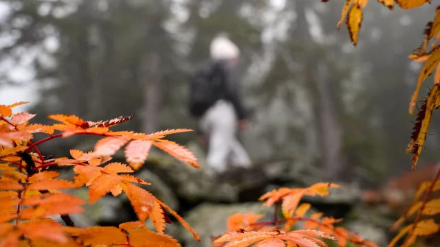 Journée d'automne
