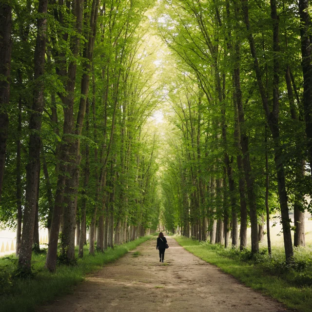 Balade dans le domaine de Marly