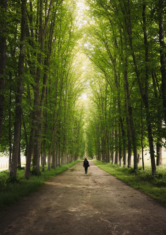 Balade dans le domaine de Marly