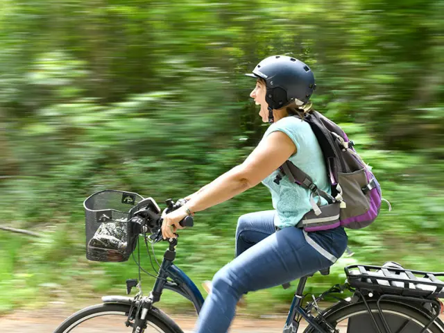 Velo Foret Joel Damasse