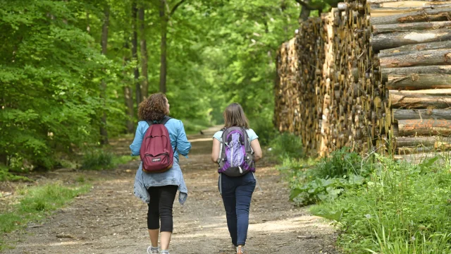 Deux personnes en rando en forêt de Saint-Germain