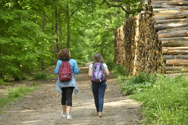 Deux personnes en rando en forêt de Saint-Germain