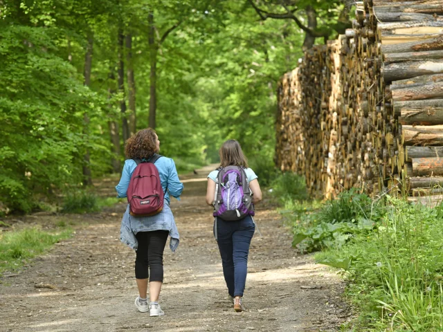 Deux personnes en rando en forêt de Saint-Germain