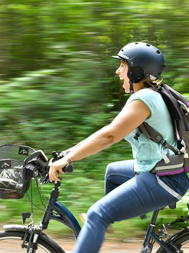 Velo Foret Joel Damasse