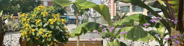 Place de la gare Sartrouville en été