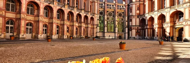 Instagram #saintgermainenlaye