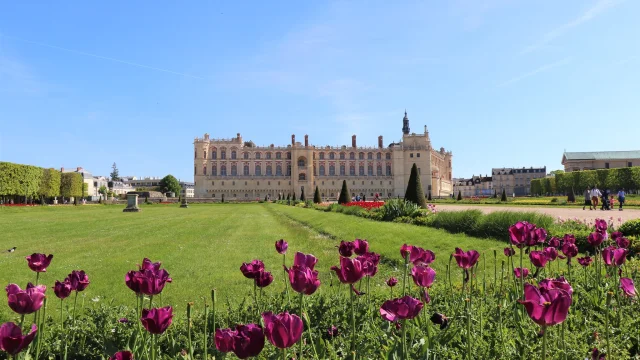 Château de Saint-Germain-en-Laye OTISGBS