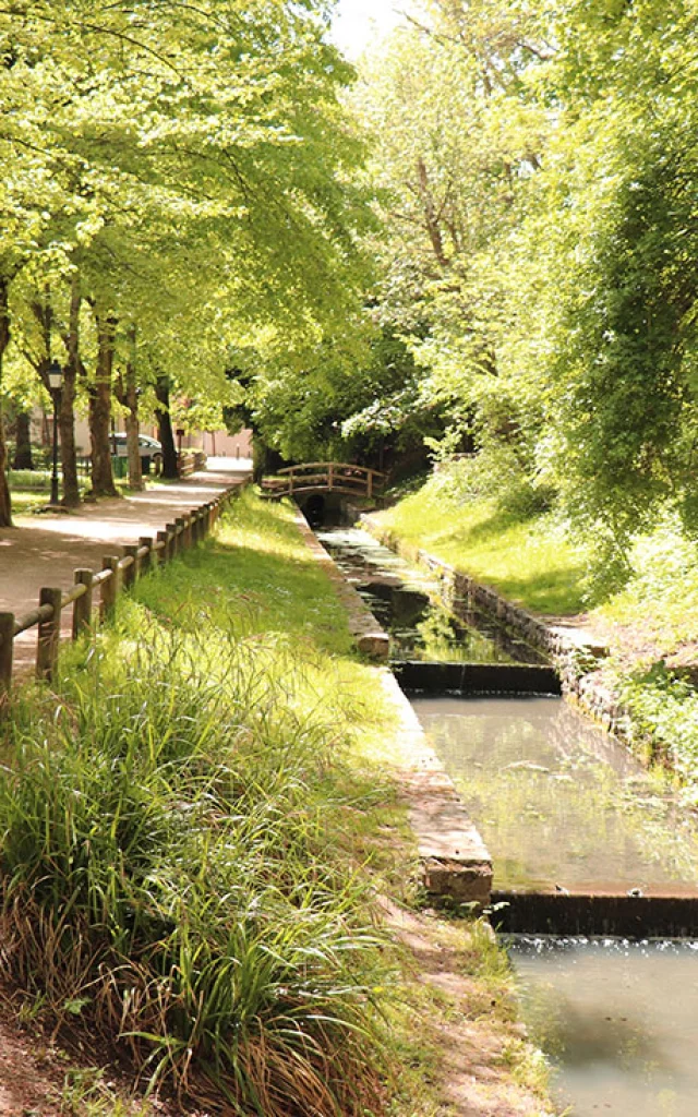 L Etang La Ville Ruisseaux