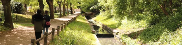 L Etang La Ville Ruisseaux