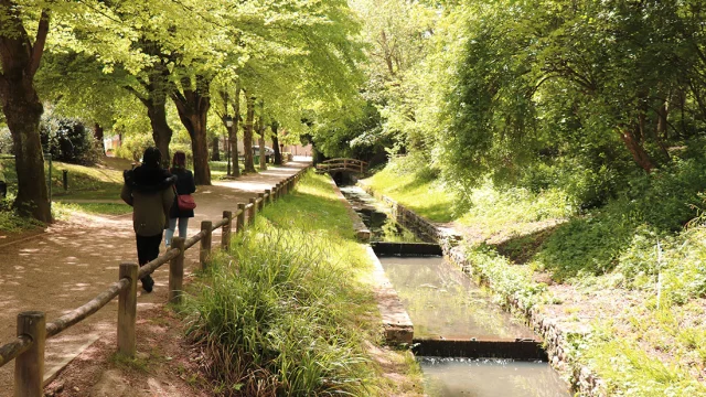 L Etang La Ville Ruisseaux