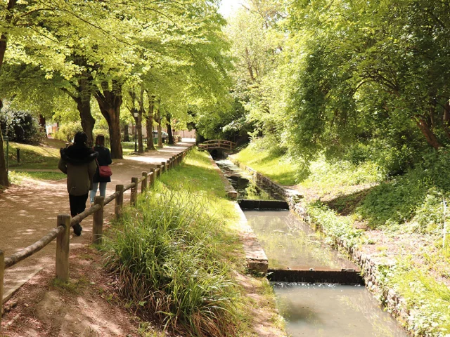 L Etang La Ville Ruisseaux