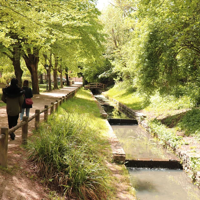 L Etang La Ville Ruisseaux