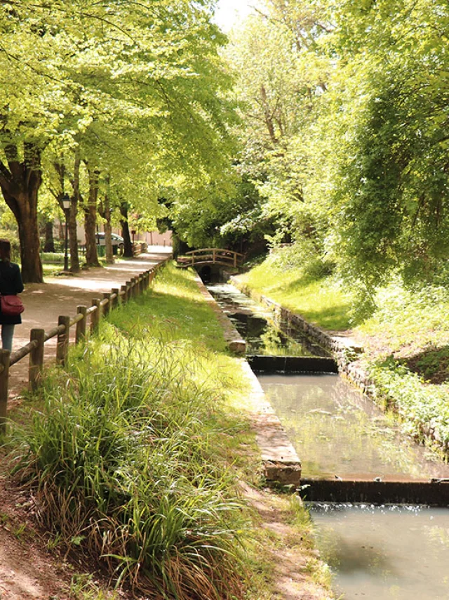 L Etang La Ville Ruisseaux