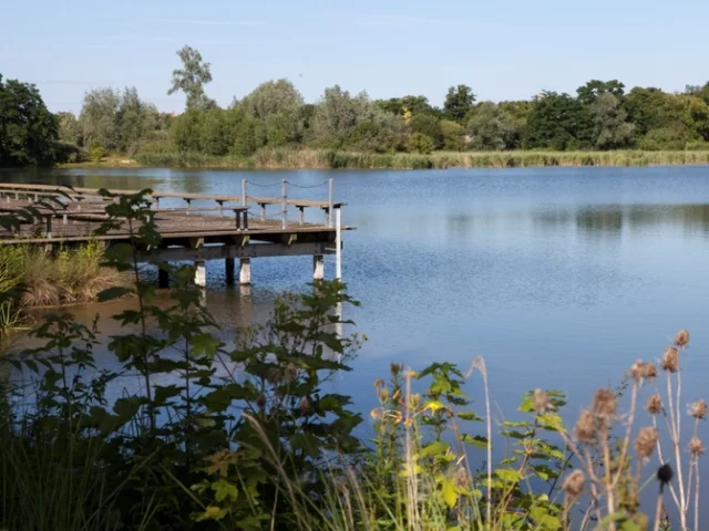 Parc Departemental De La Boucle De Montesson Ponton Etang De L Epinoche 800x600 Visuel Large