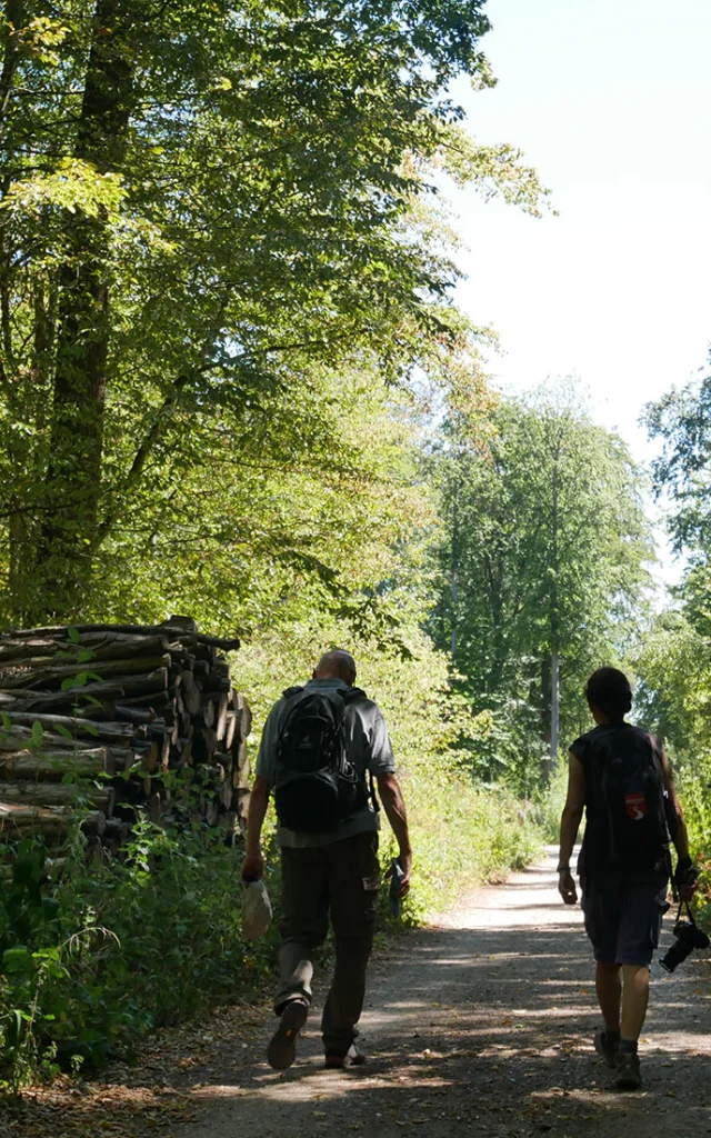 Sentier des oratoires en forêt de Saint-Germain-en-Laye
