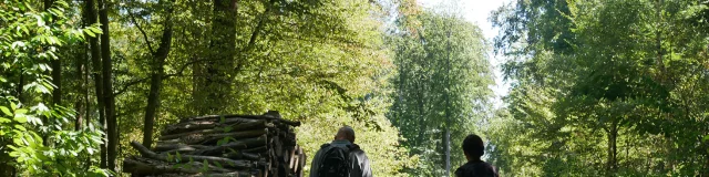 Sentier des oratoires en forêt de Saint-Germain-en-Laye