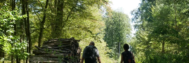 Sentier des oratoires en forêt de Saint-Germain-en-Laye