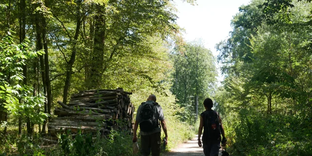 Sentier des oratoires en forêt de Saint-Germain-en-Laye