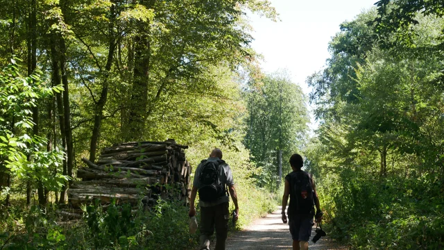 Sentier des oratoires en forêt de Saint-Germain-en-Laye