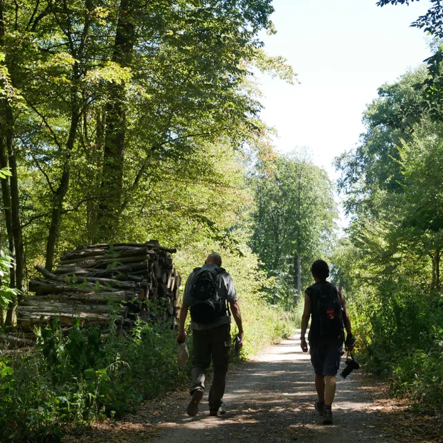 Sentier des oratoires en forêt de Saint-Germain-en-Laye