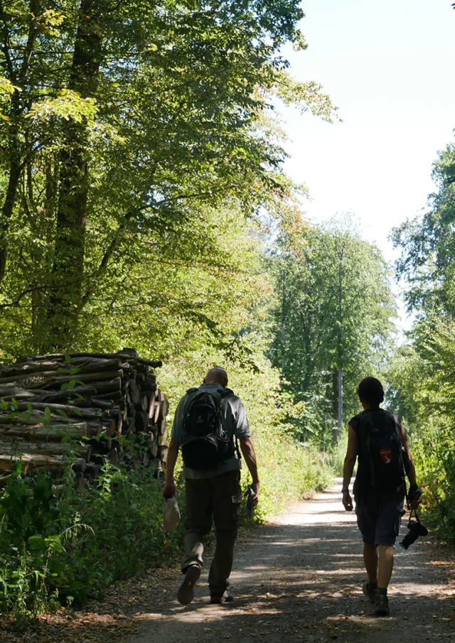Sentier des oratoires en forêt de Saint-Germain-en-Laye