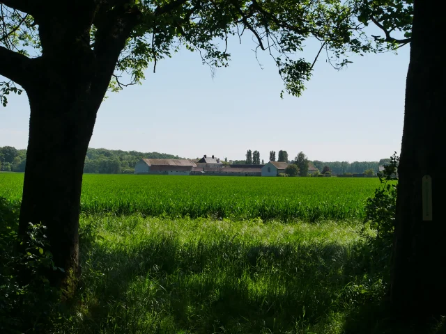 Trou Enfer Foret Marly