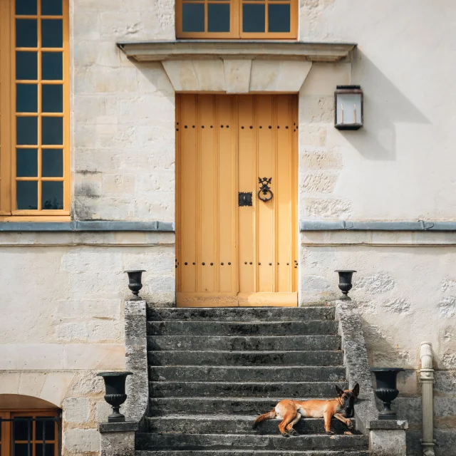 Moment de vie à Louveciennes avec un chien dormant près d'une maison OTISGSB