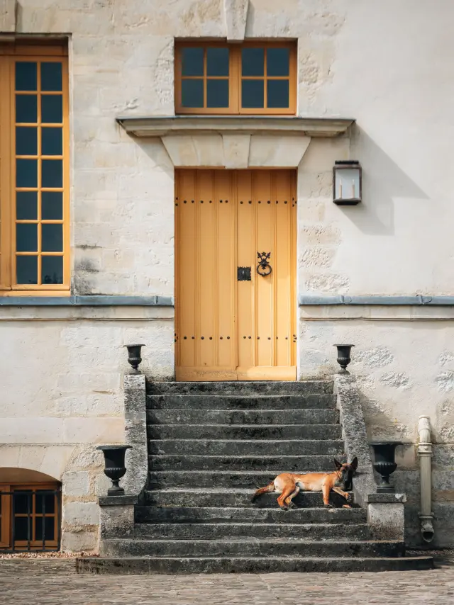 Moment de vie à Louveciennes avec un chien dormant près d'une maison OTISGSB