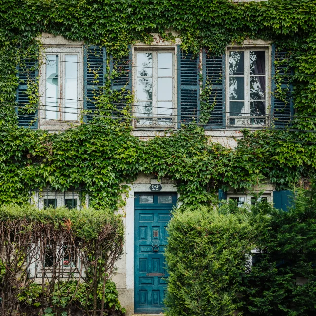 Détail d'une jolie façade de maison à Louveciennes