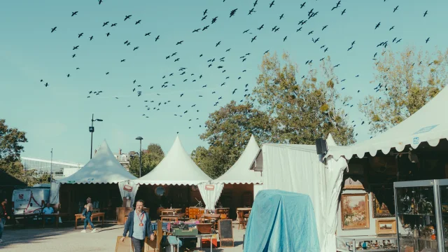 Foire de Chatou - OTISGBS