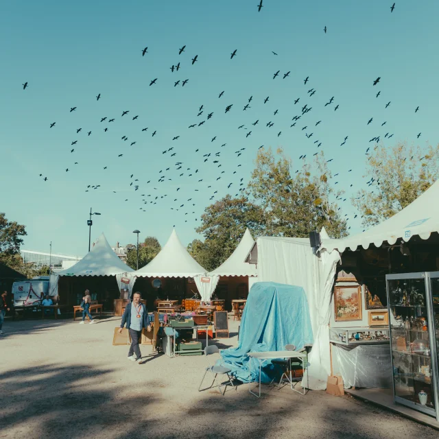 Foire de Chatou - OTISGBS