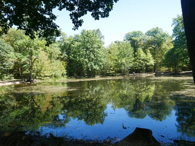 Mare Aux Canes
