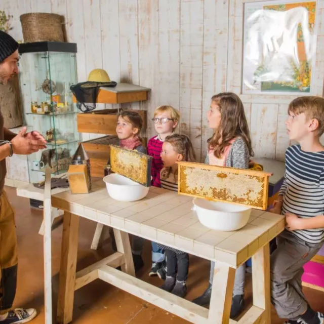 Atelier Abeilles Ferme de Gally Sartrouville
