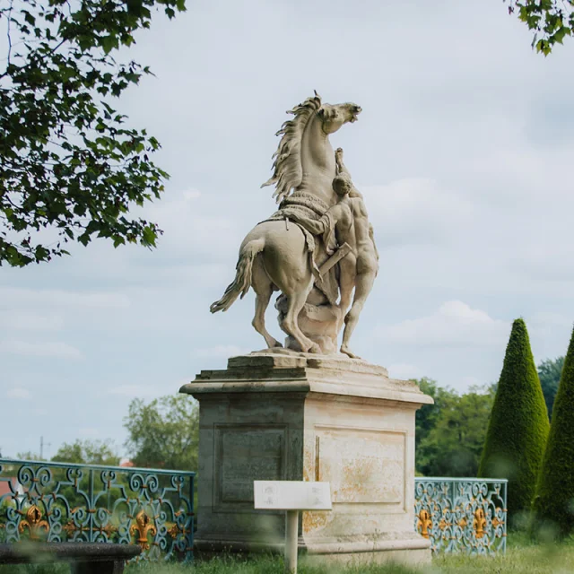 Chevaux Marly