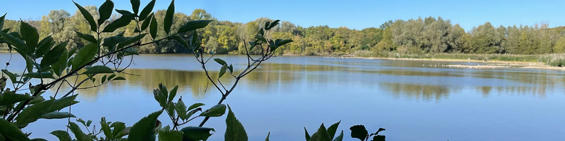 Parc Departemental Montesson2