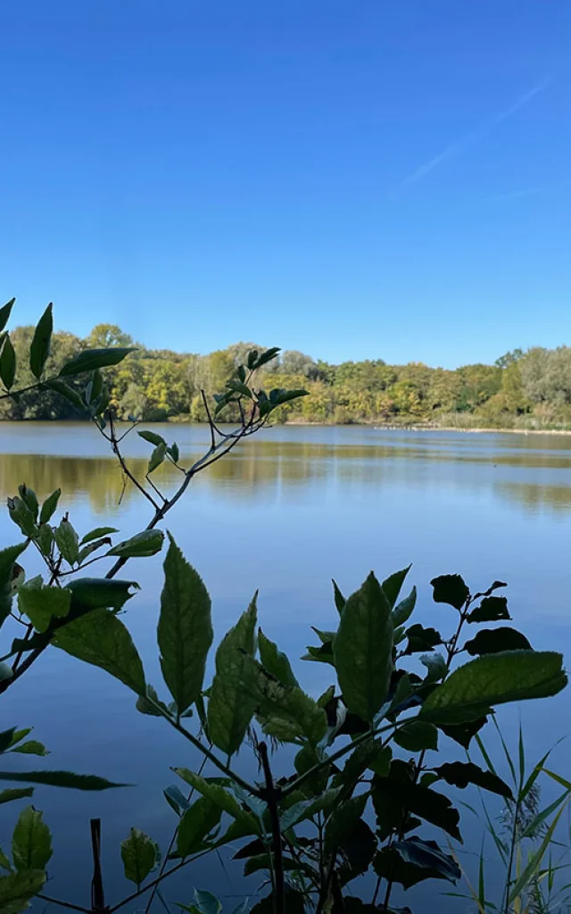 Montesson Departmental Park2