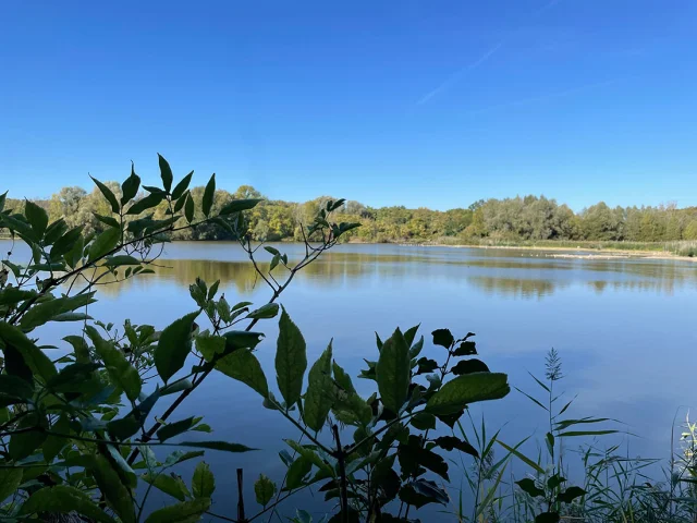 Parc Departemental Montesson2