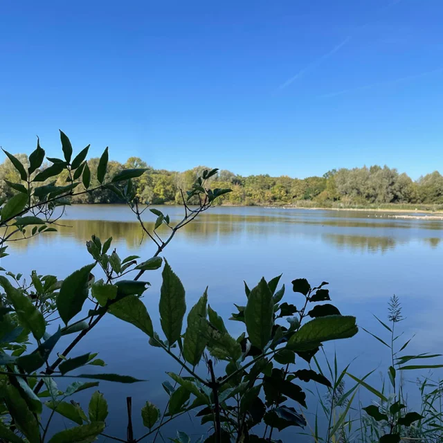Parc Departemental Montesson2