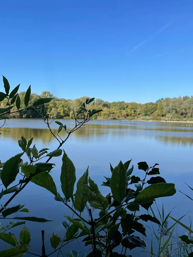 Parc Departemental Montesson2