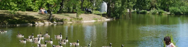 Le Vesinet Les Ibis