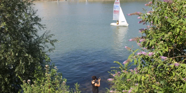 Bords de Seine au Pecq