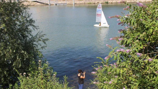 Bords de Seine au Pecq