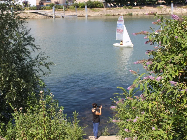 Bords de Seine au Pecq