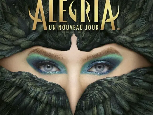 P 11 1er Pave Droite Affiche Allegria 44587 Cirque Du Soleil Alegria Affiche 2025 Copyright Cirque Du Soleil Square 1 1 Xl