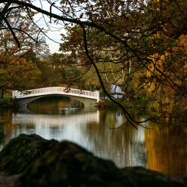 Instagram #levesinet