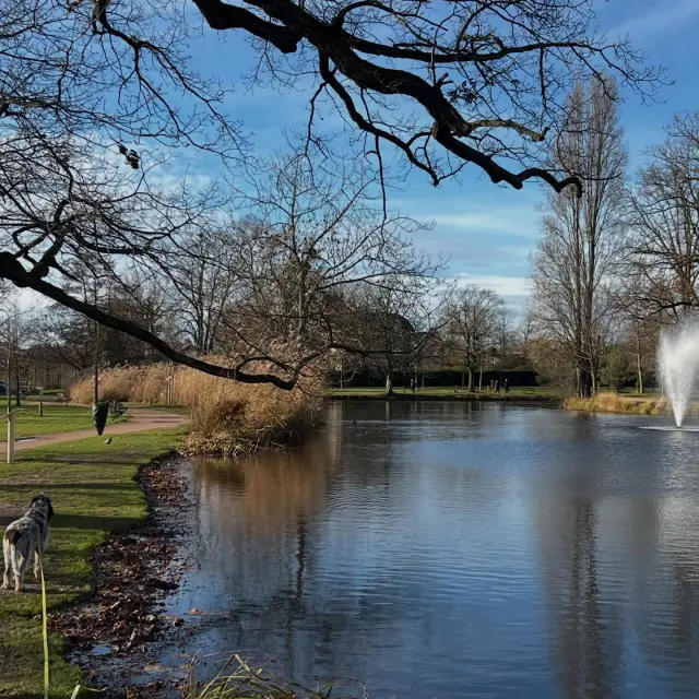 Instagram #levesinet